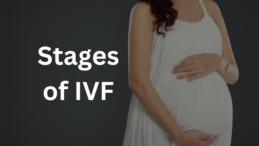 What to expect during each stage of IVF?